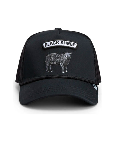 GB2 Black SheepThumbnail