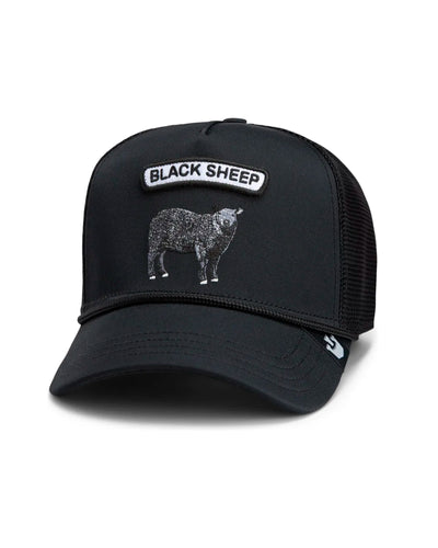 GB2 Black SheepThumbnail