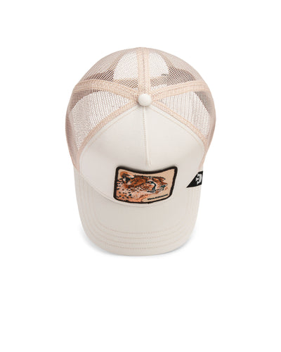 The Warrior CheetahThumbnail