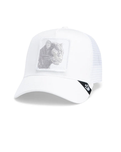 Panther MirageThumbnail