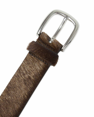 WBShifu Base BeltThumbnail