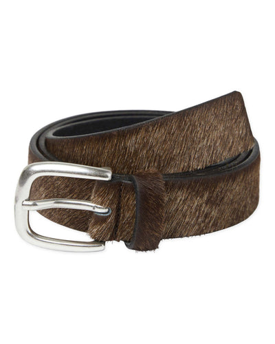 WBShifu Base BeltThumbnail