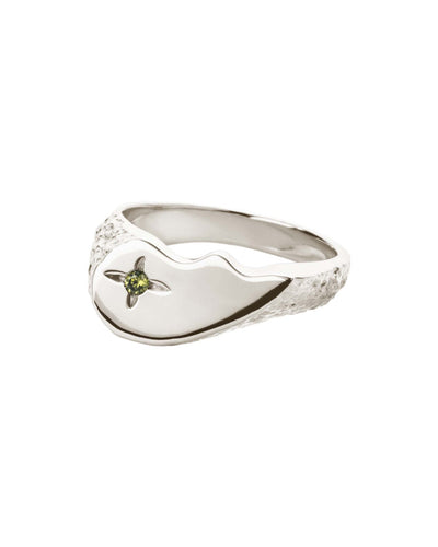 Shiny BFF Sparkly RingThumbnail