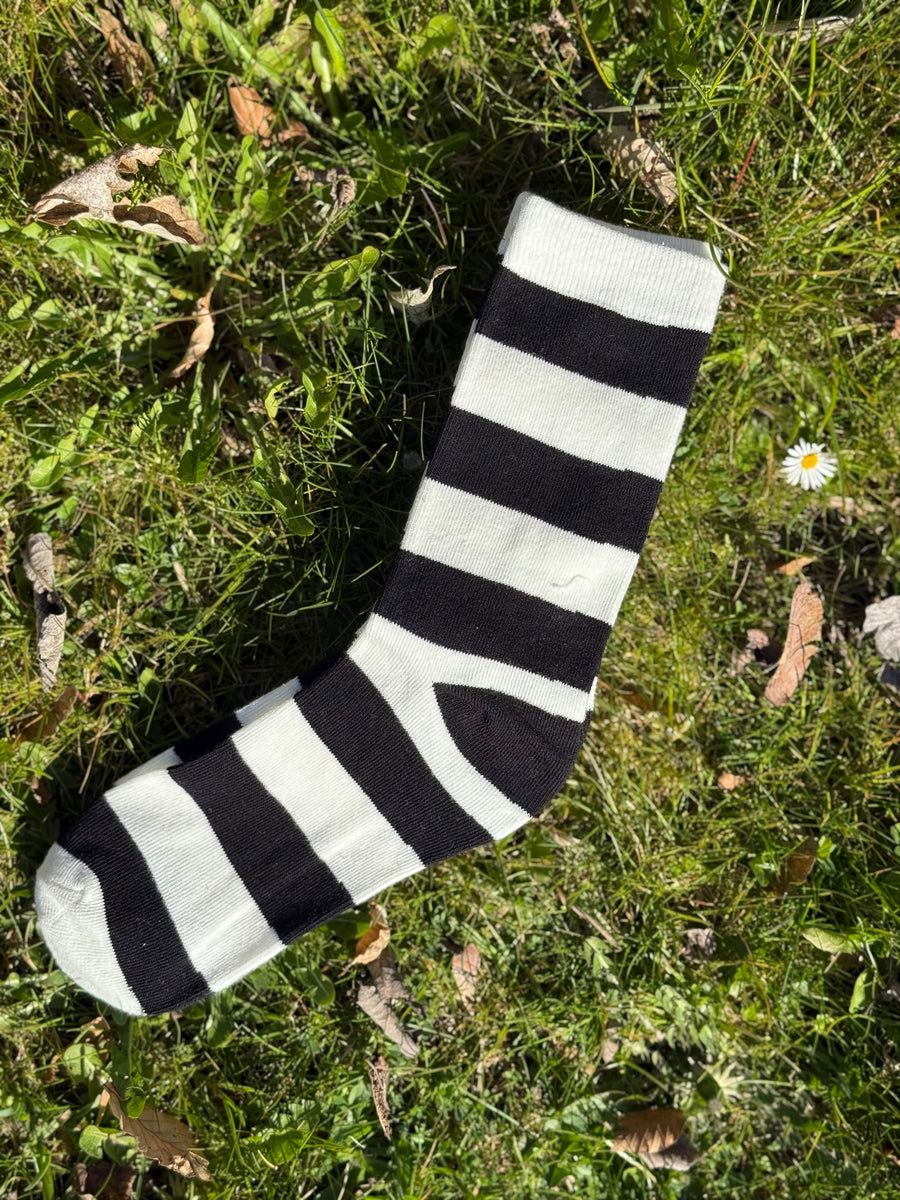 Purpolo stripe sock