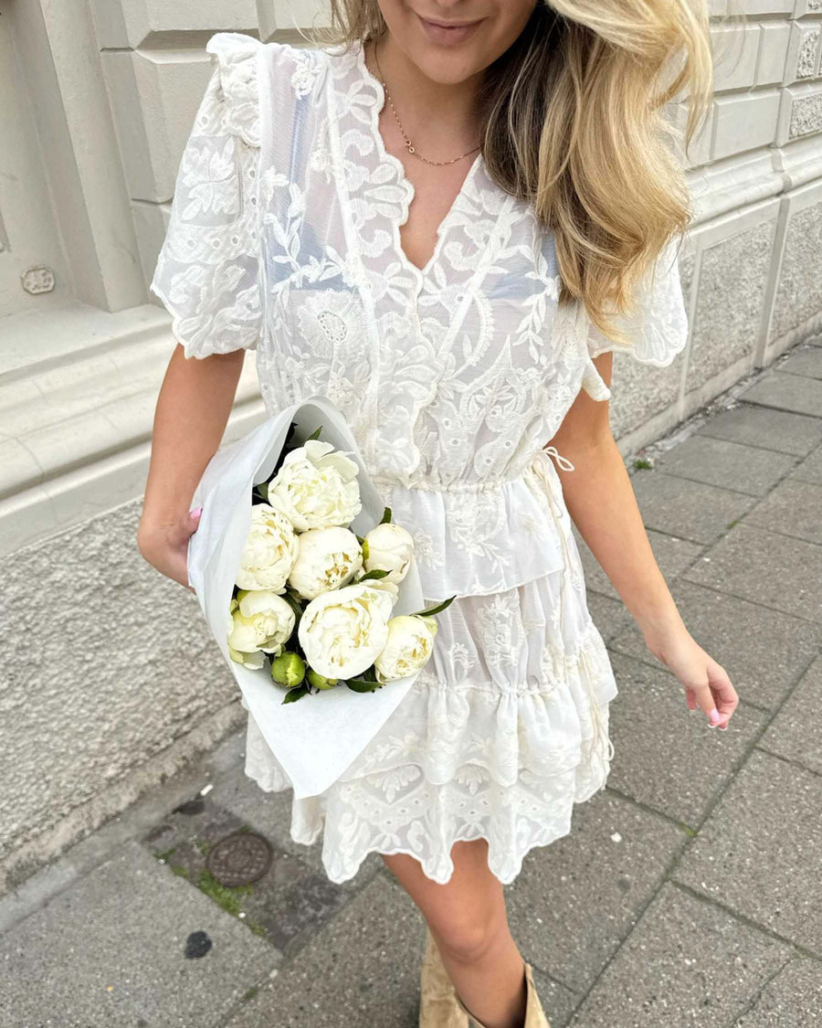 Ellinoric lace layer dress