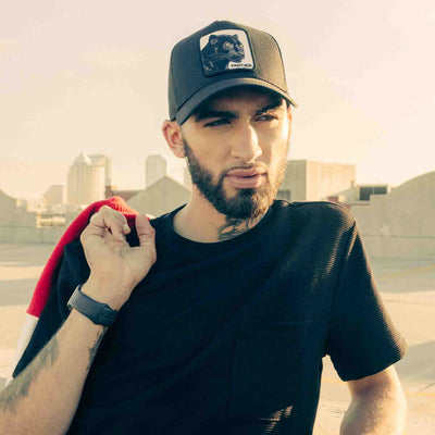 The panther-coreThumbnail