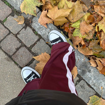 Pcfelicia hw wideThumbnail