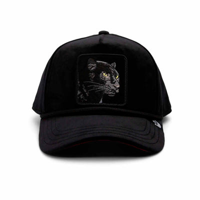 Panther royaltyThumbnail