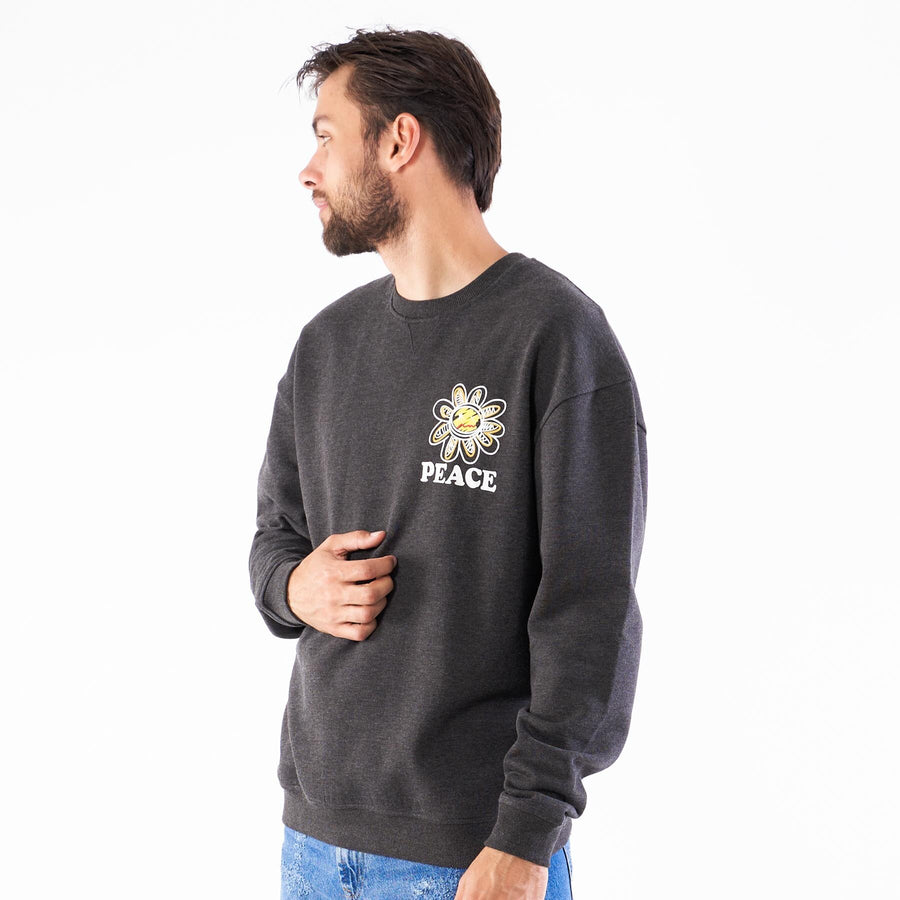 Pierre boxy crewneck