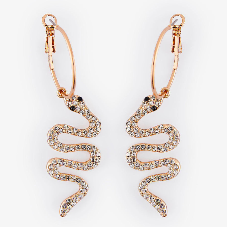 Pcnake hoop earrings
