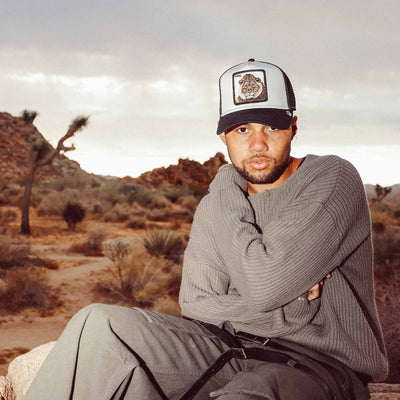 The king lion-coreThumbnail