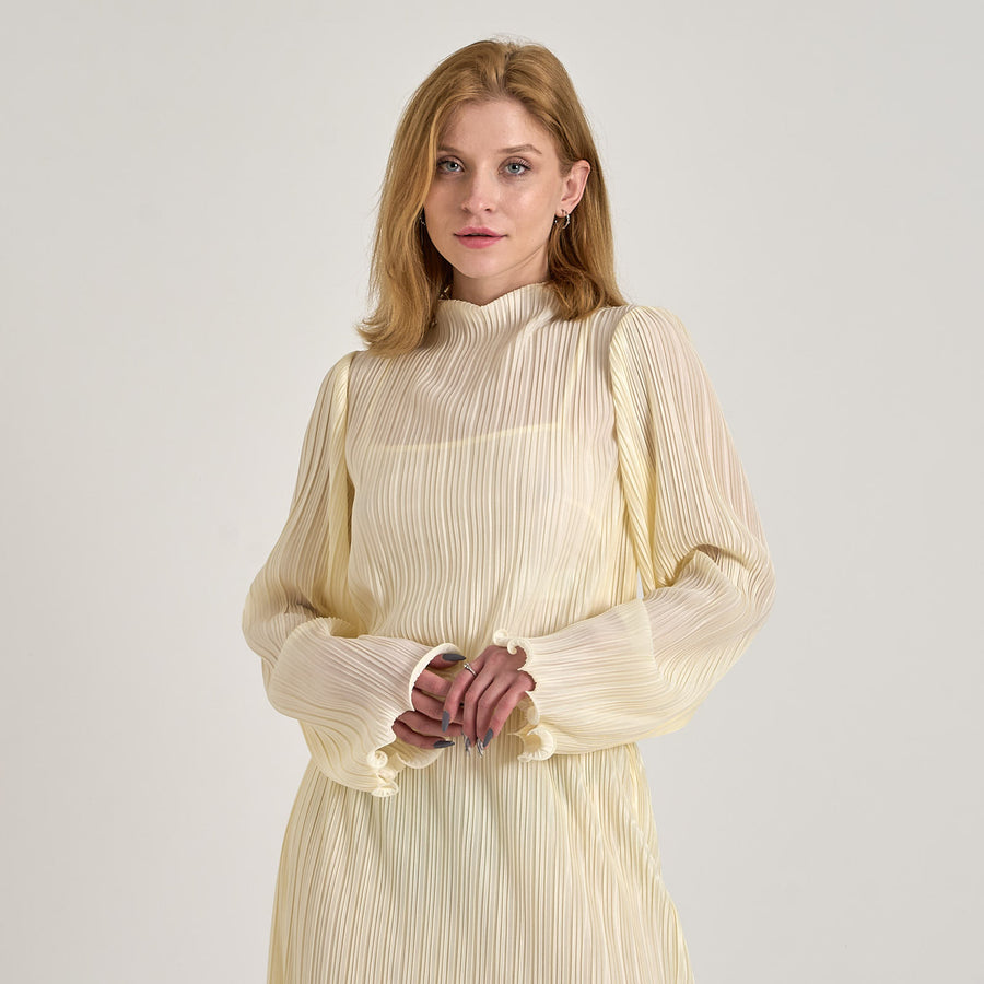 Flounce detail plisse blouse