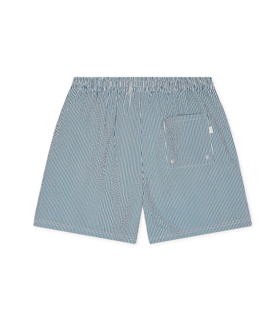 Stripe Seersucker Swim Shorts