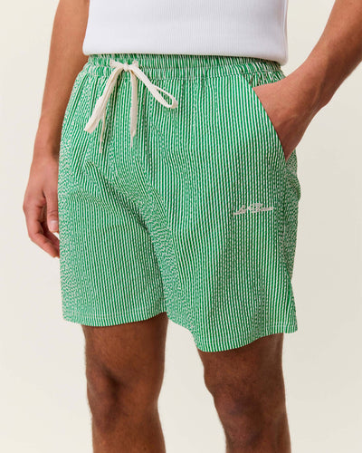 Stripe Seersucker Swim ShortsThumbnail 