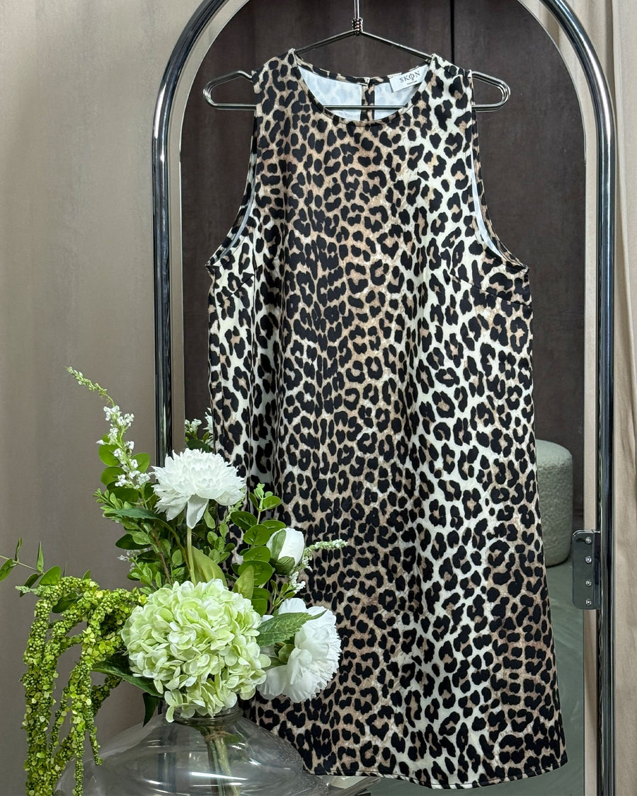 Molly dress