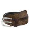 WBShifu Base Belt