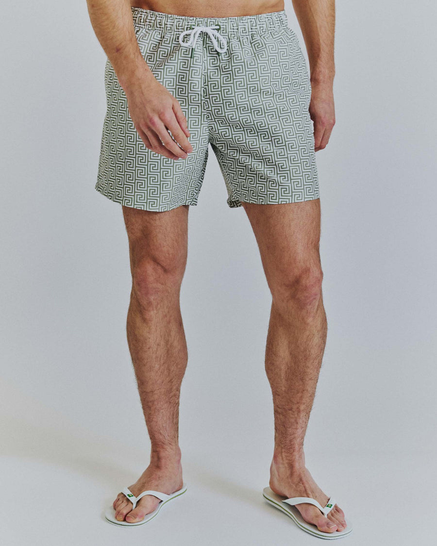 Swimshorts