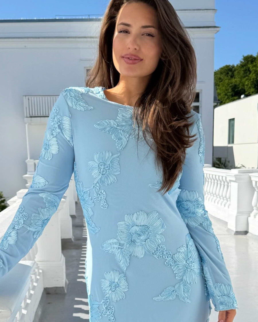 Eliseic mesh dress