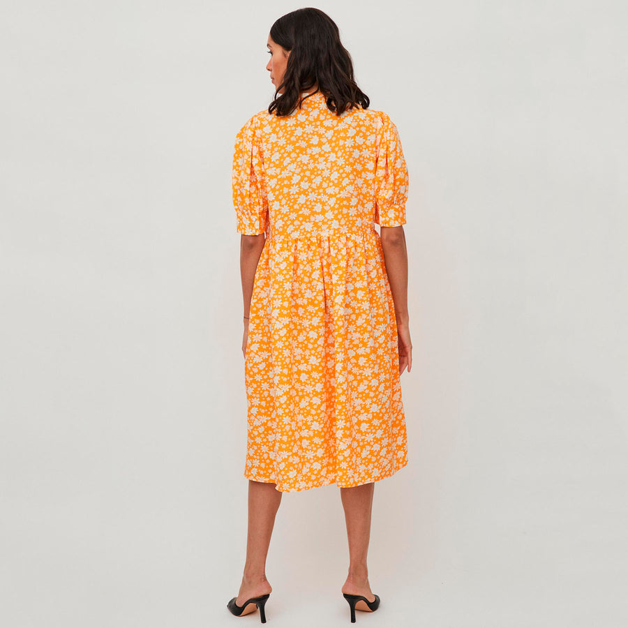 Vihaylee dress