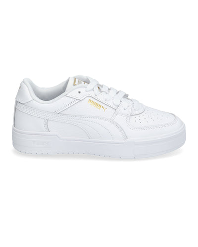 CA Pro Classic IIThumbnail 