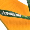 Havaianas - Brasil logo