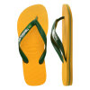 Havaianas - Brasil logo